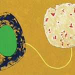 didier-guth-13-sans-titre