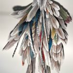 Katharina-leutert-10-aile-1