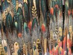 Katharina-leutert-3-totem-8-wayati-detail-1