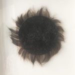 saba-niknam-eclipse-de-quatre-chevaux-13 copie